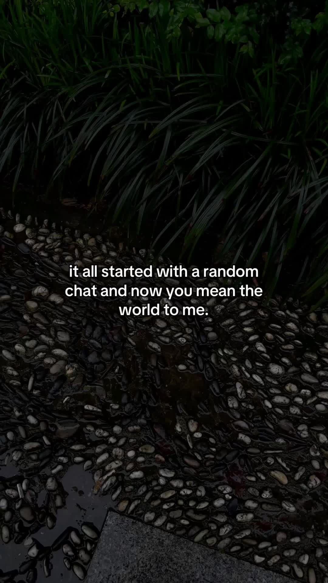 @lvy