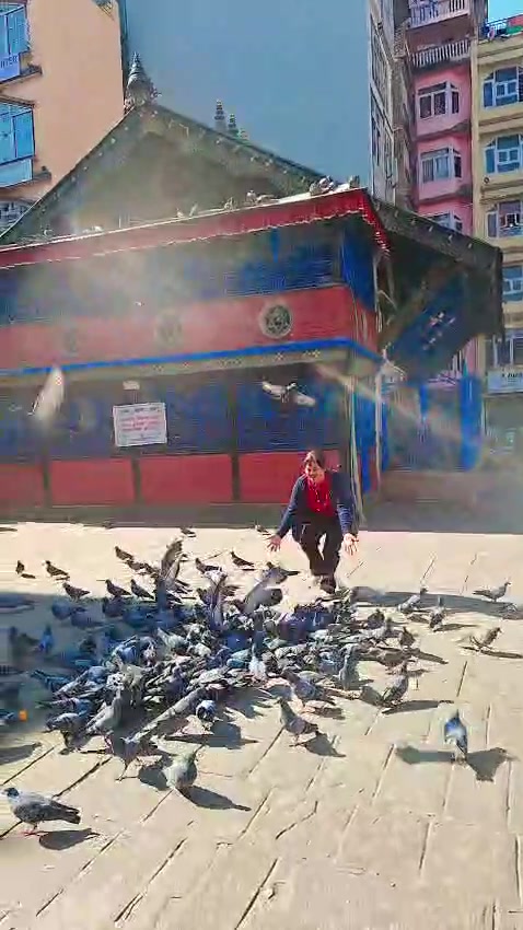 @Tara Khadka