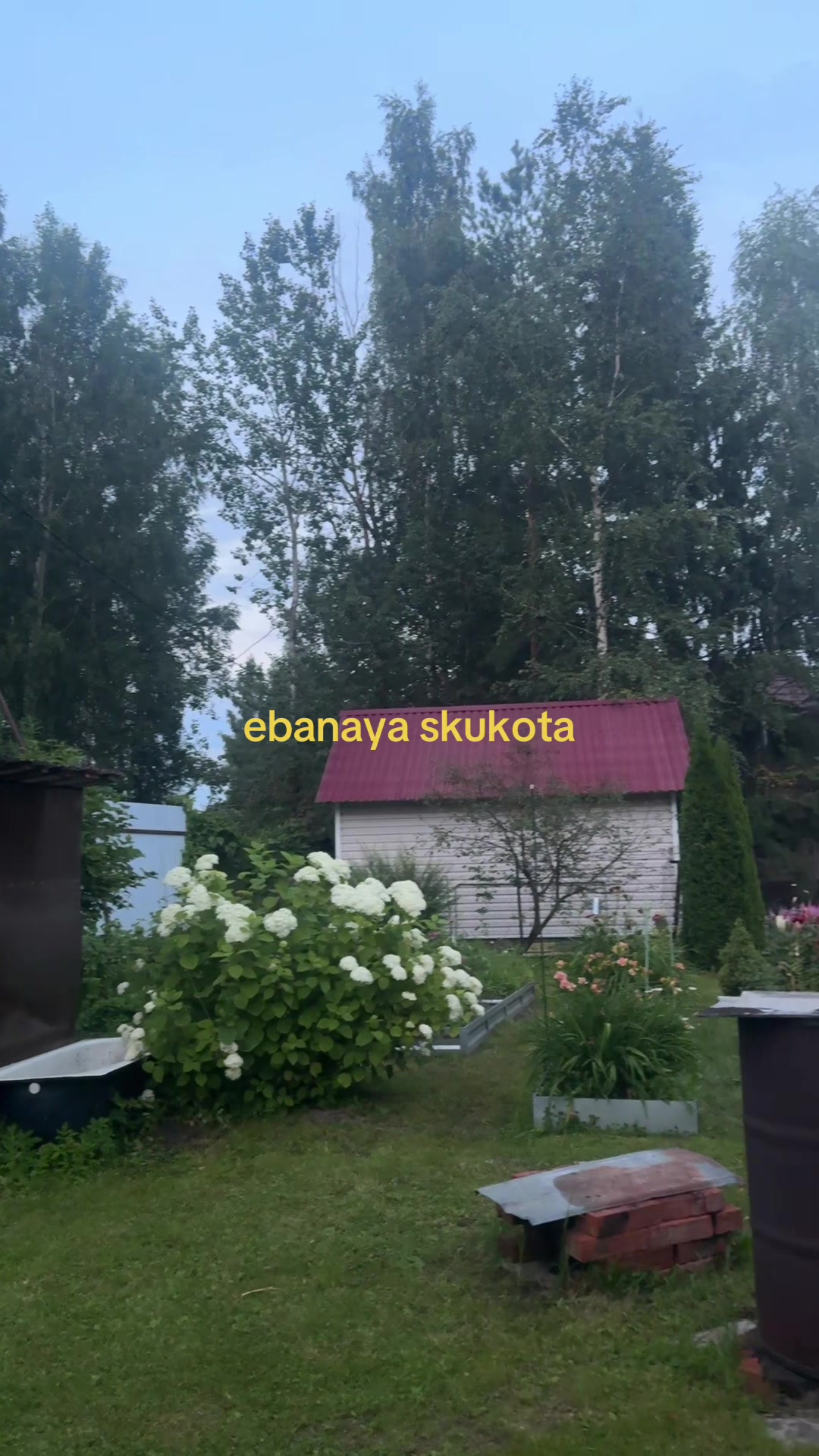 @леля