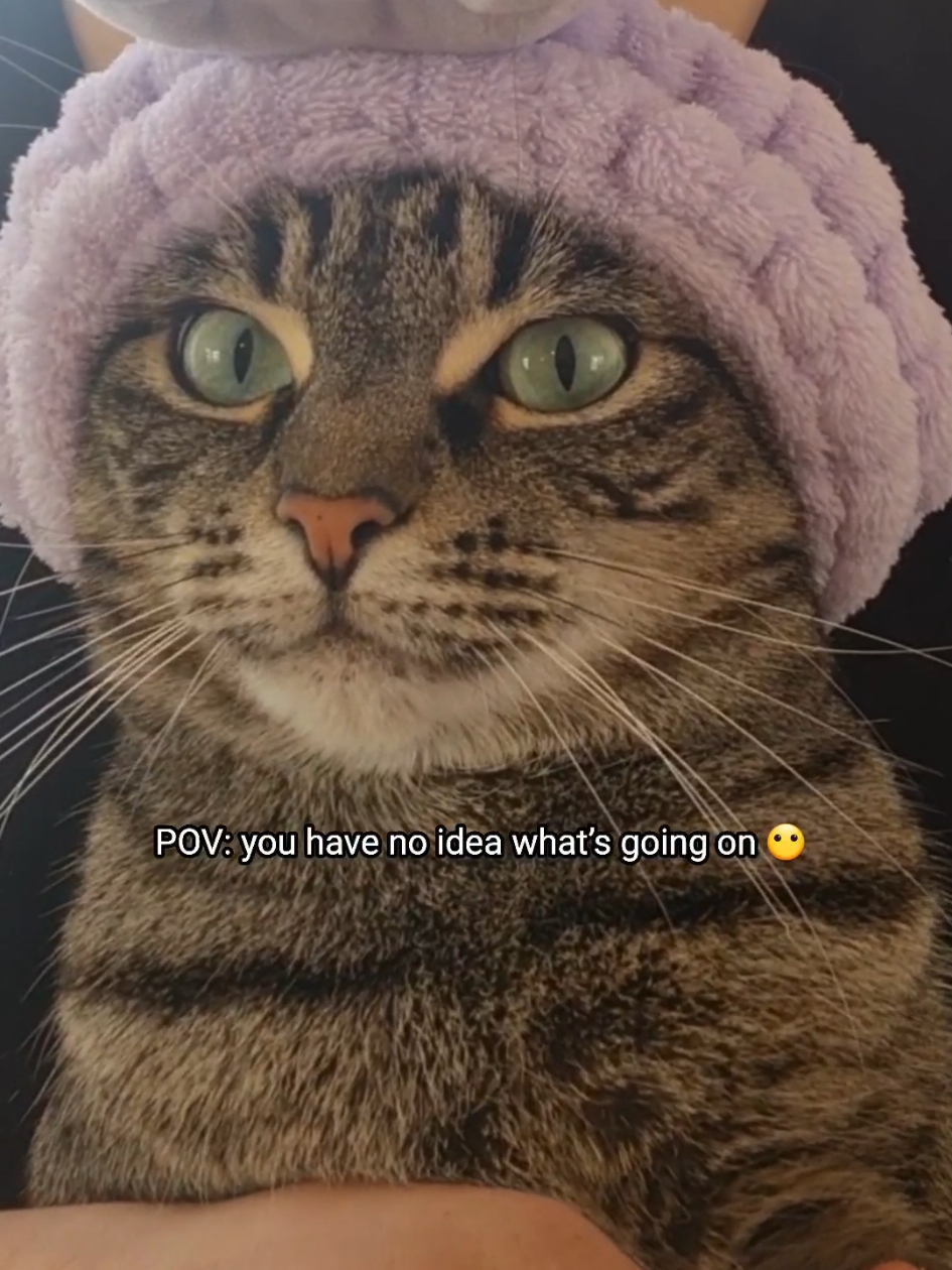 @PhoebeinWonder