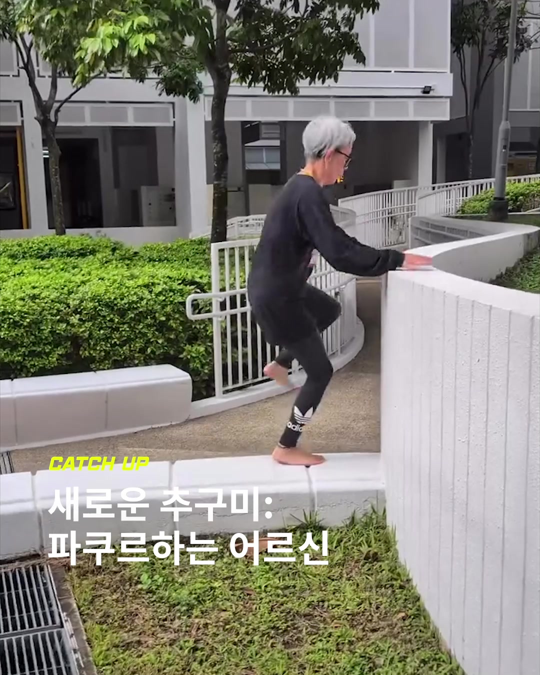@이슈&트렌드 | 케찹