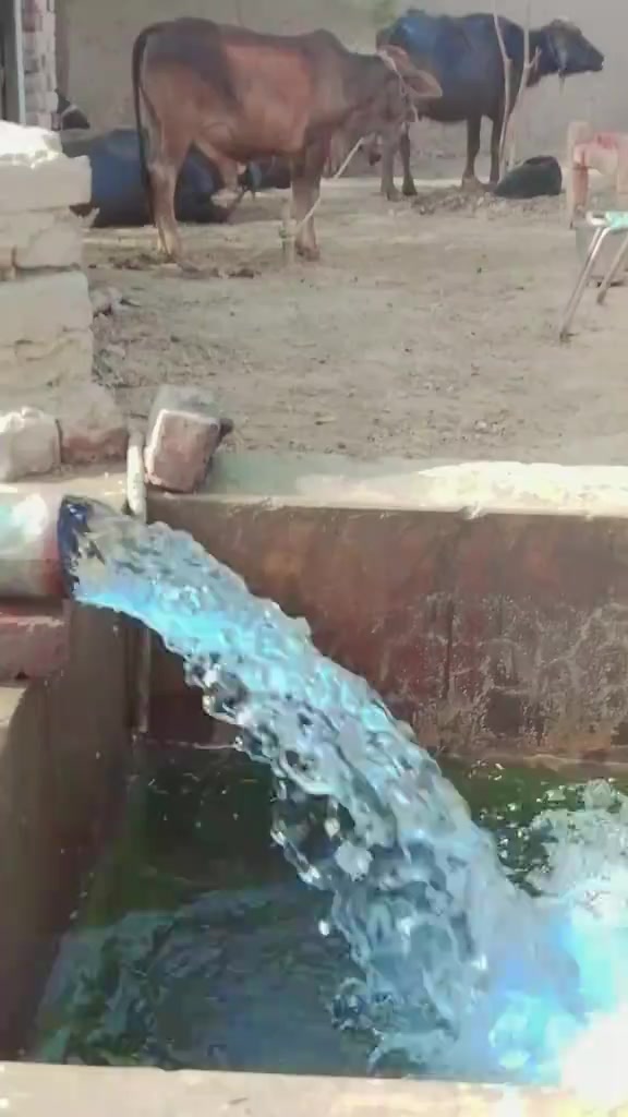 @GuJJaR