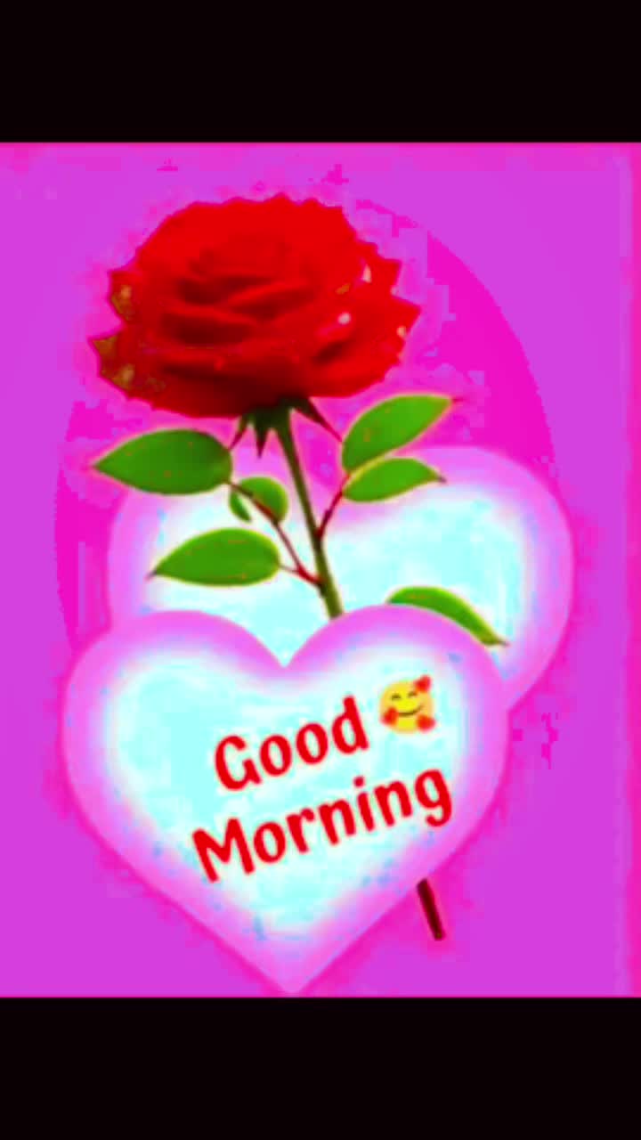 @Sai Meena