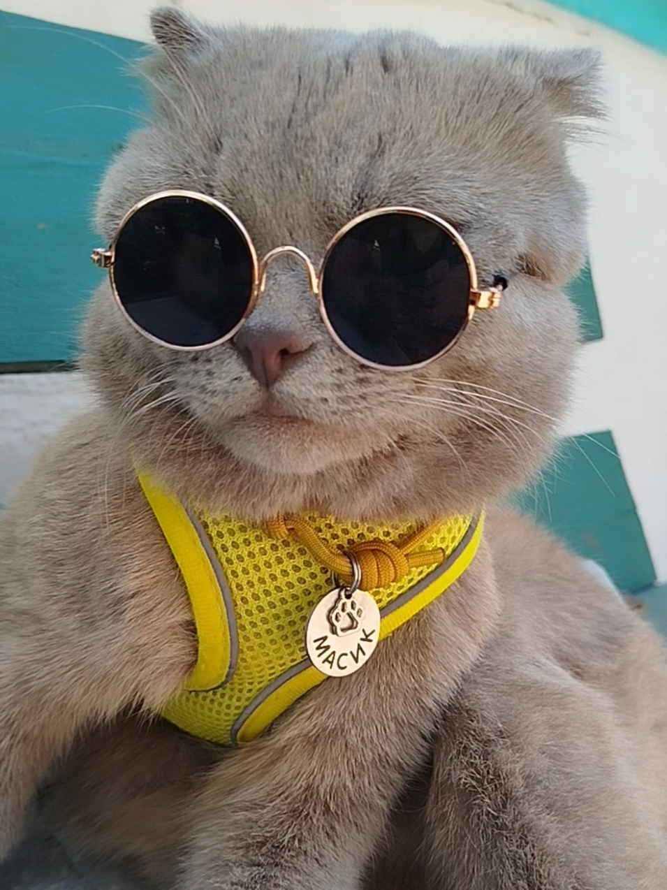@🐈Масик&Андрей🥰