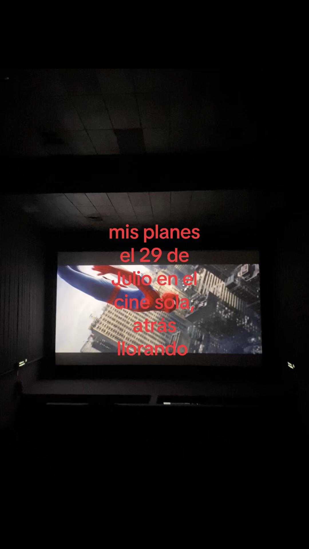 @๐ฆ๐ข๐๐๐๐๐๐งโ๏ธ