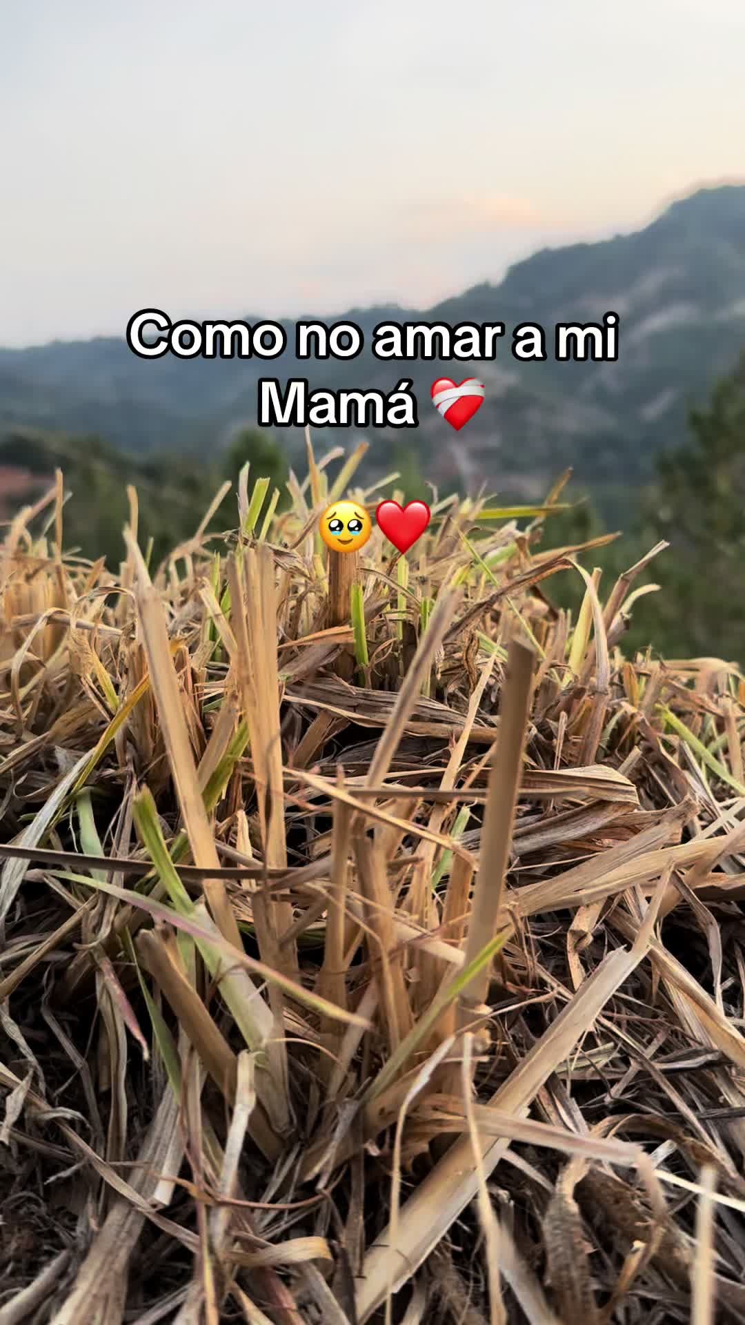 @Danymejia