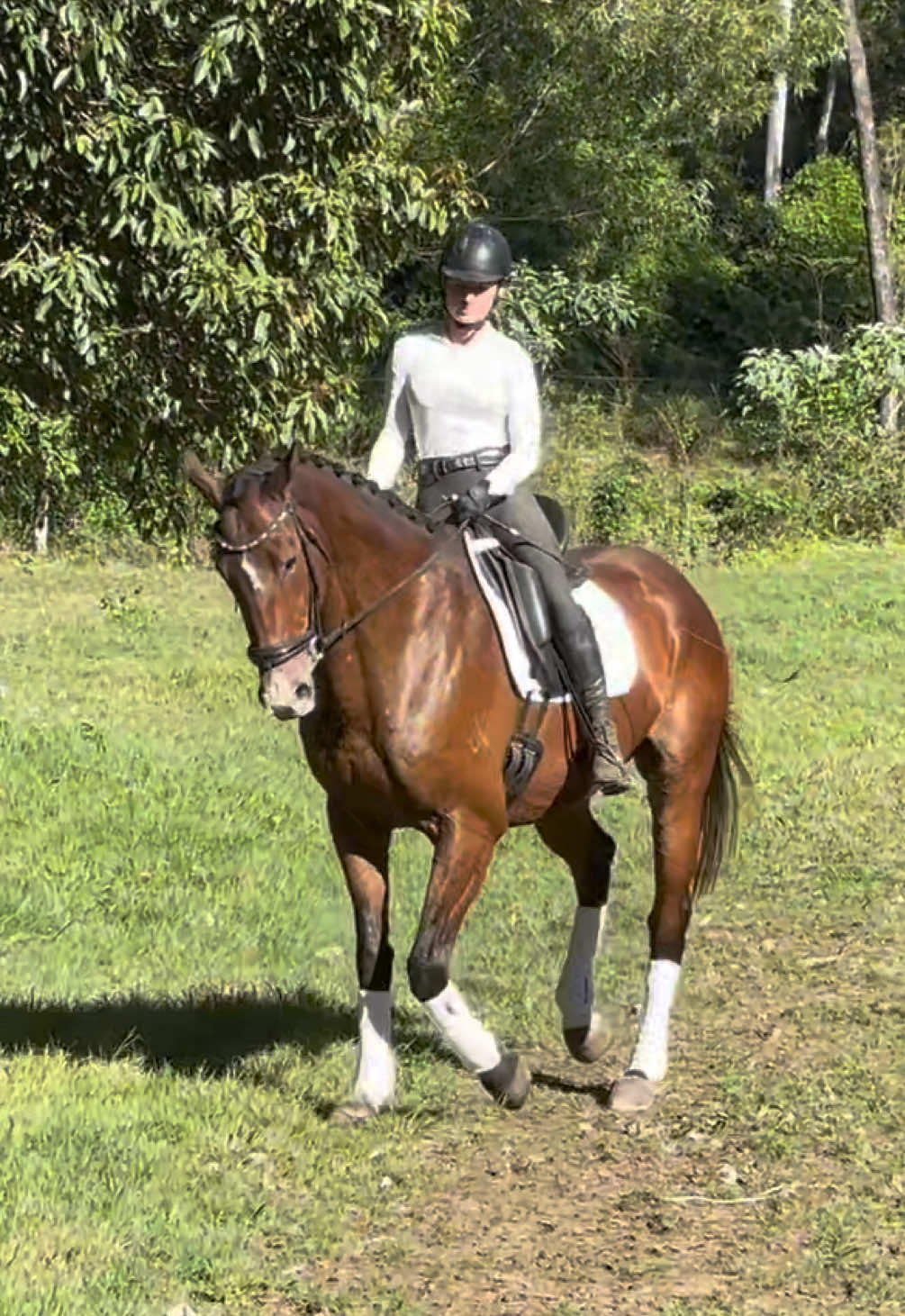 @Double F Performance Horses