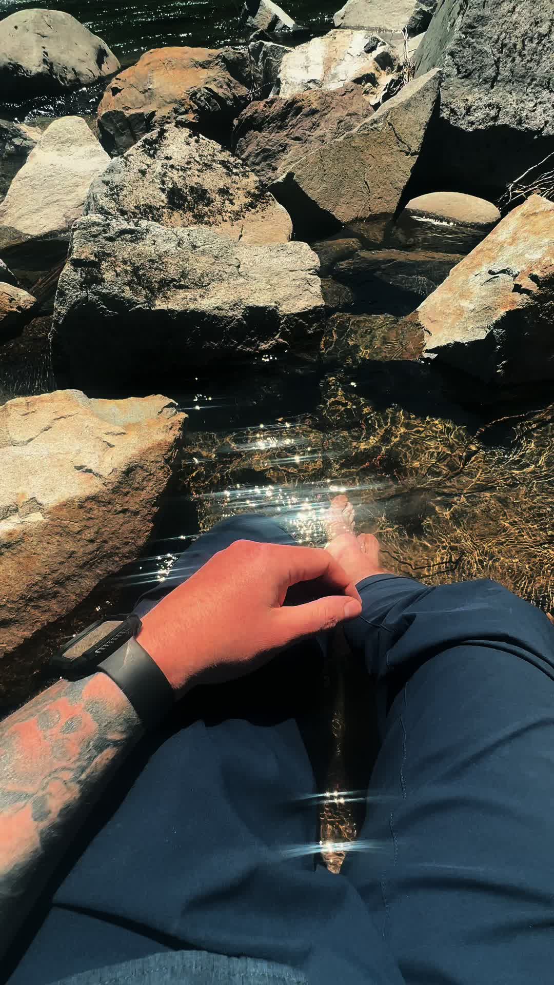 @🌲 James | WA 🏔️