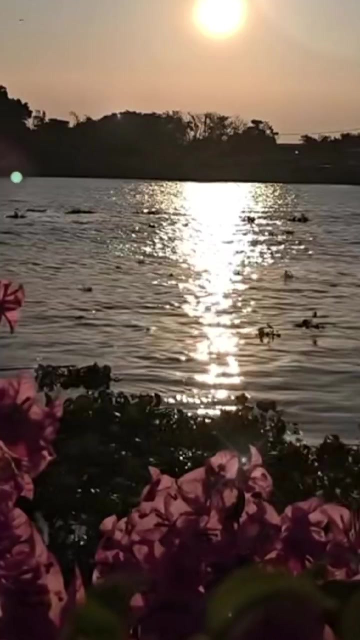 @dynse4ytiau1