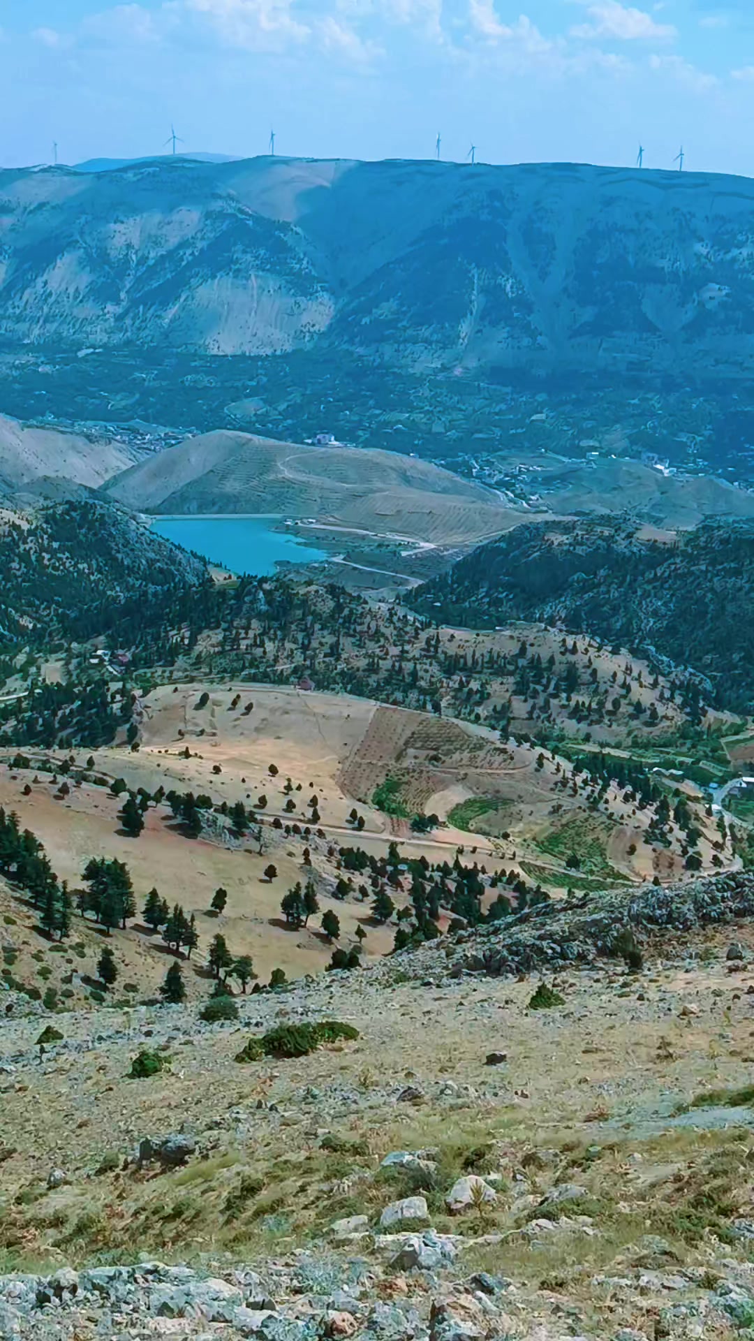 @DAĞCI.46