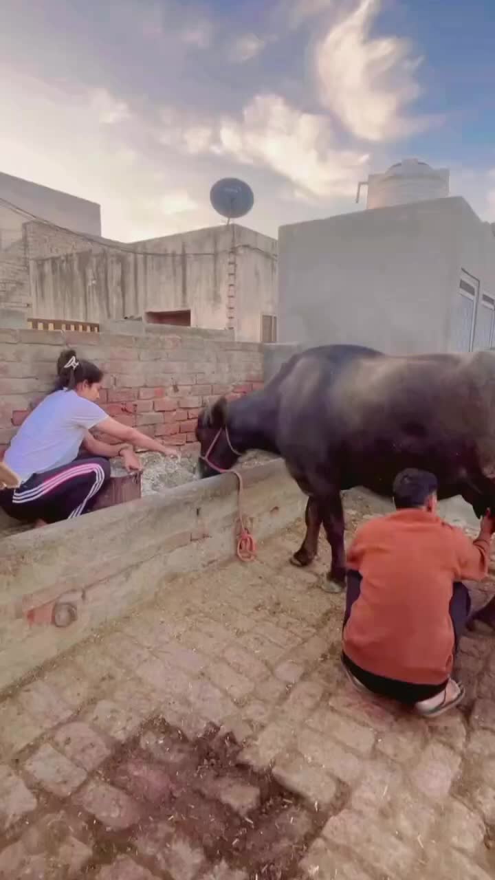 @khusi jatti