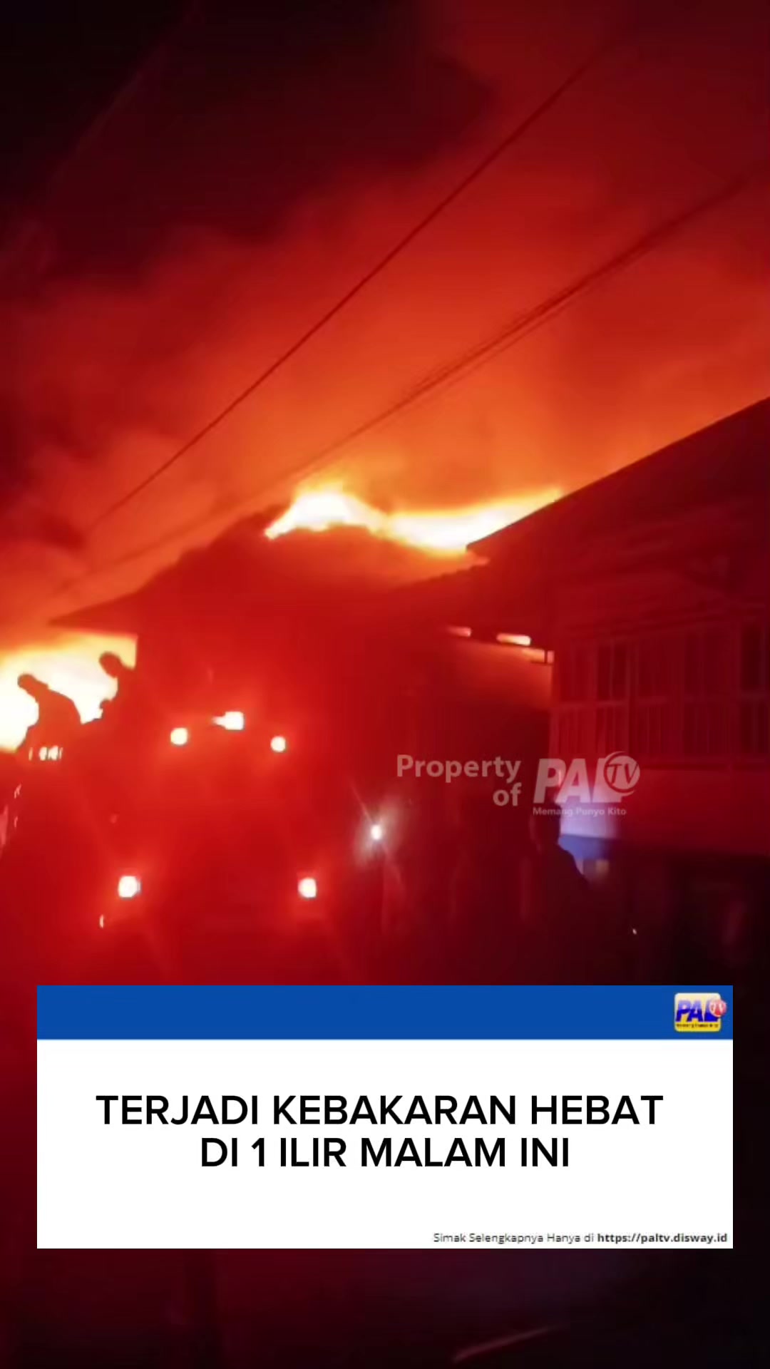 @Paltv-Memang Punyo Kito