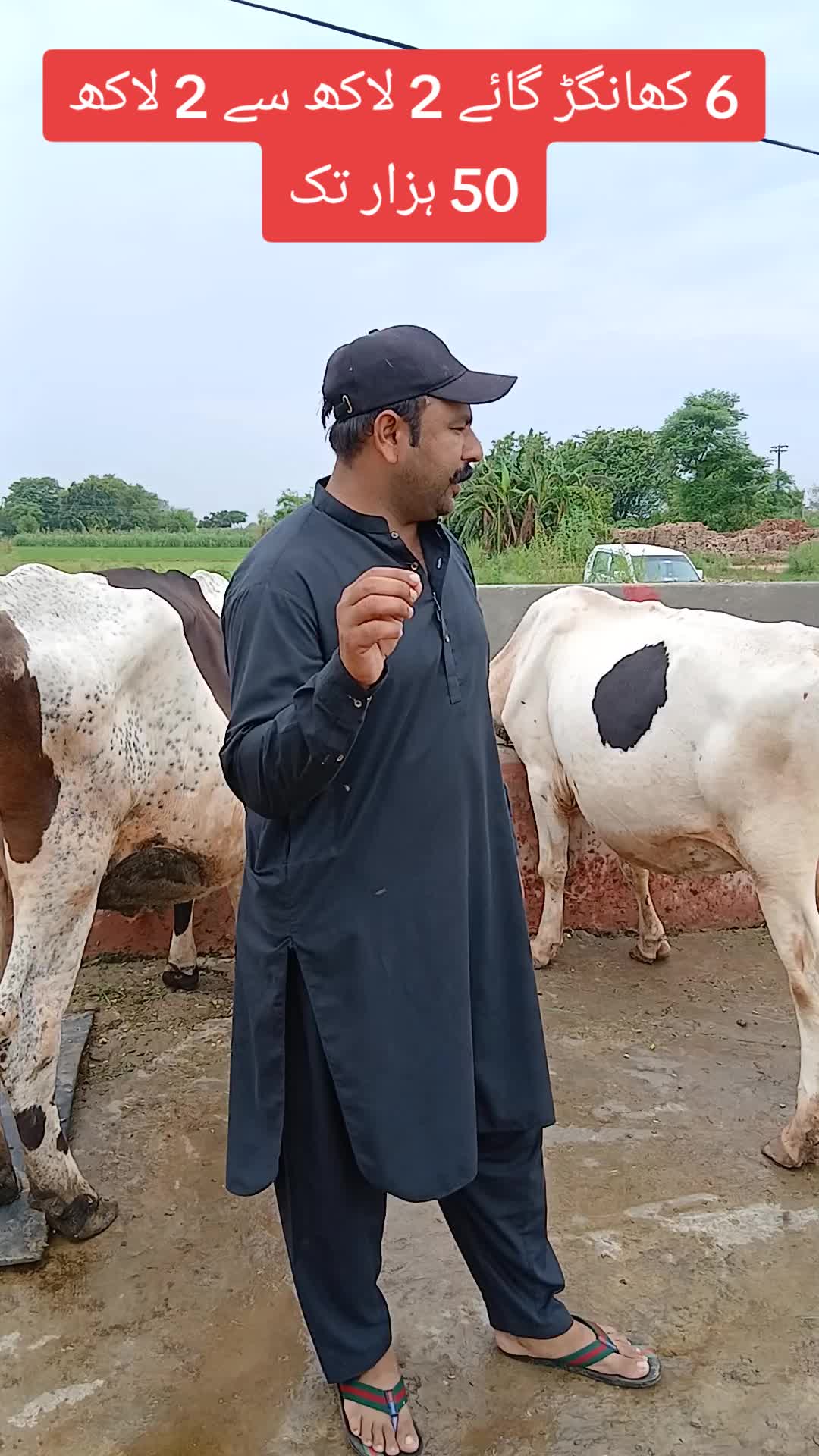 @Farming and Business Ideas