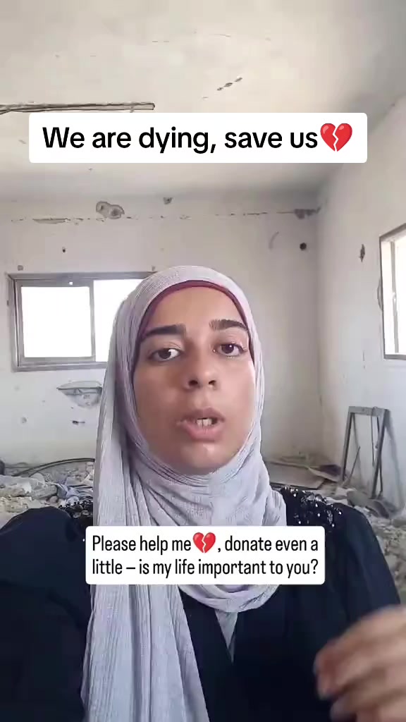 @shoug 🇵🇸