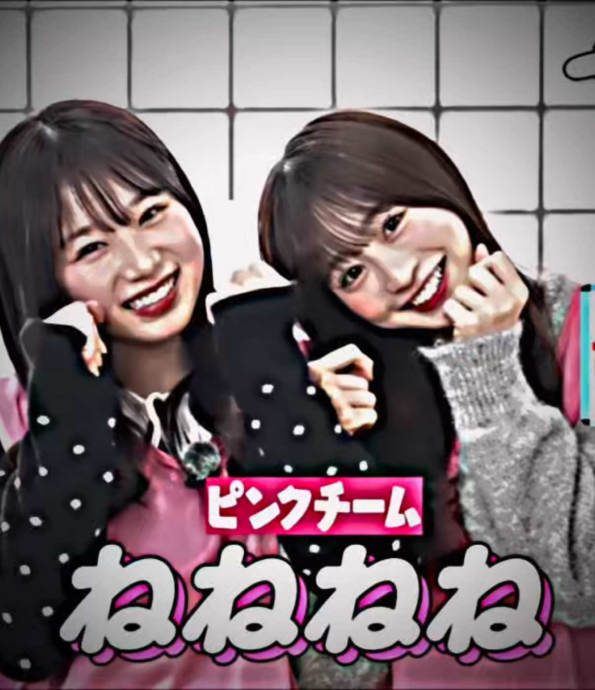 @ちわわぁ