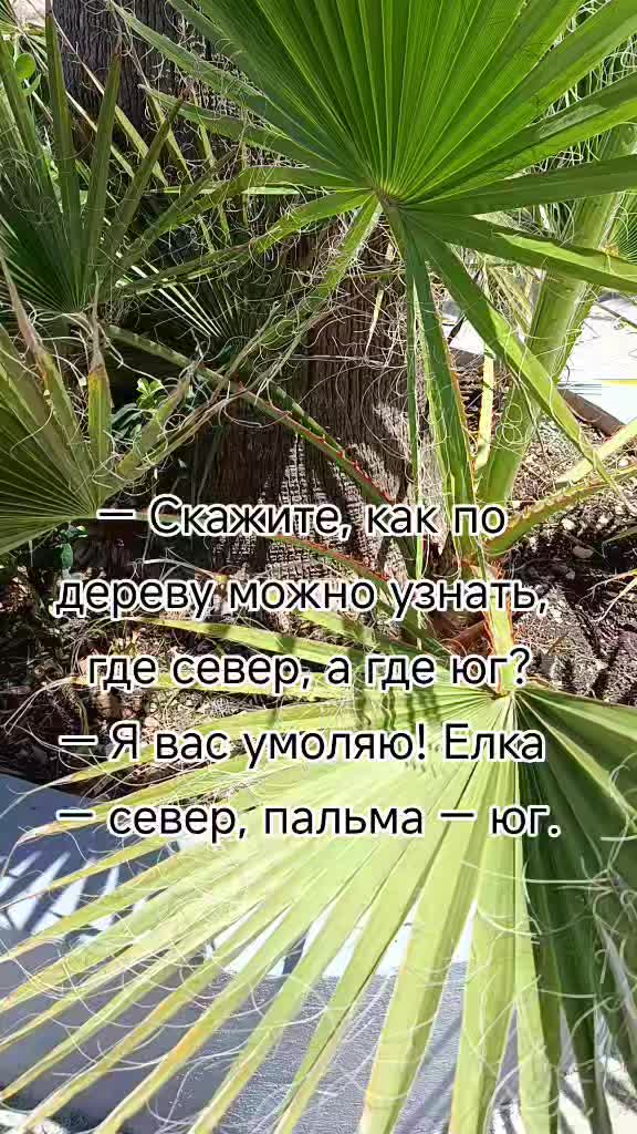 @Muza