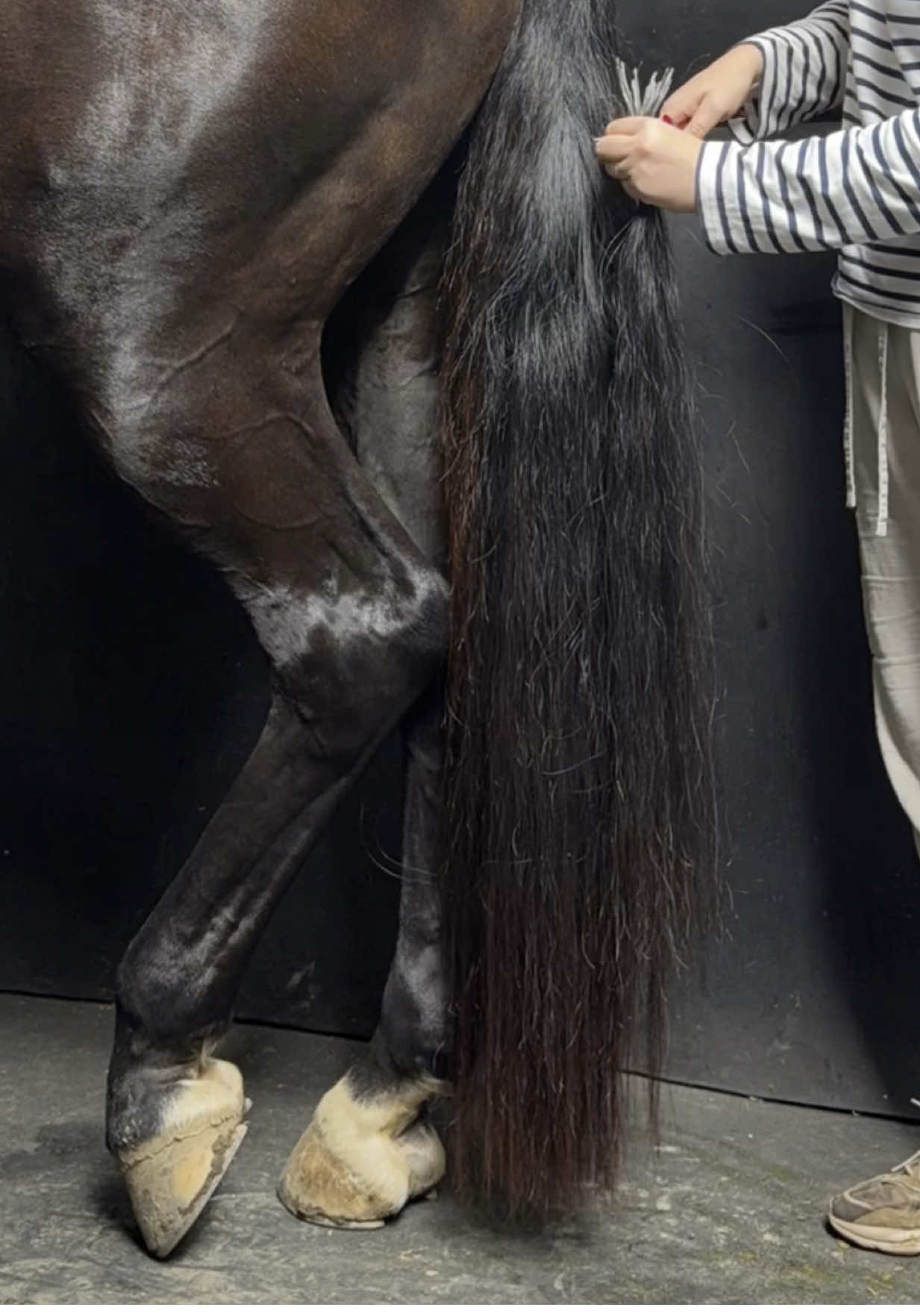 @Luxe Lengths Equine Extensions