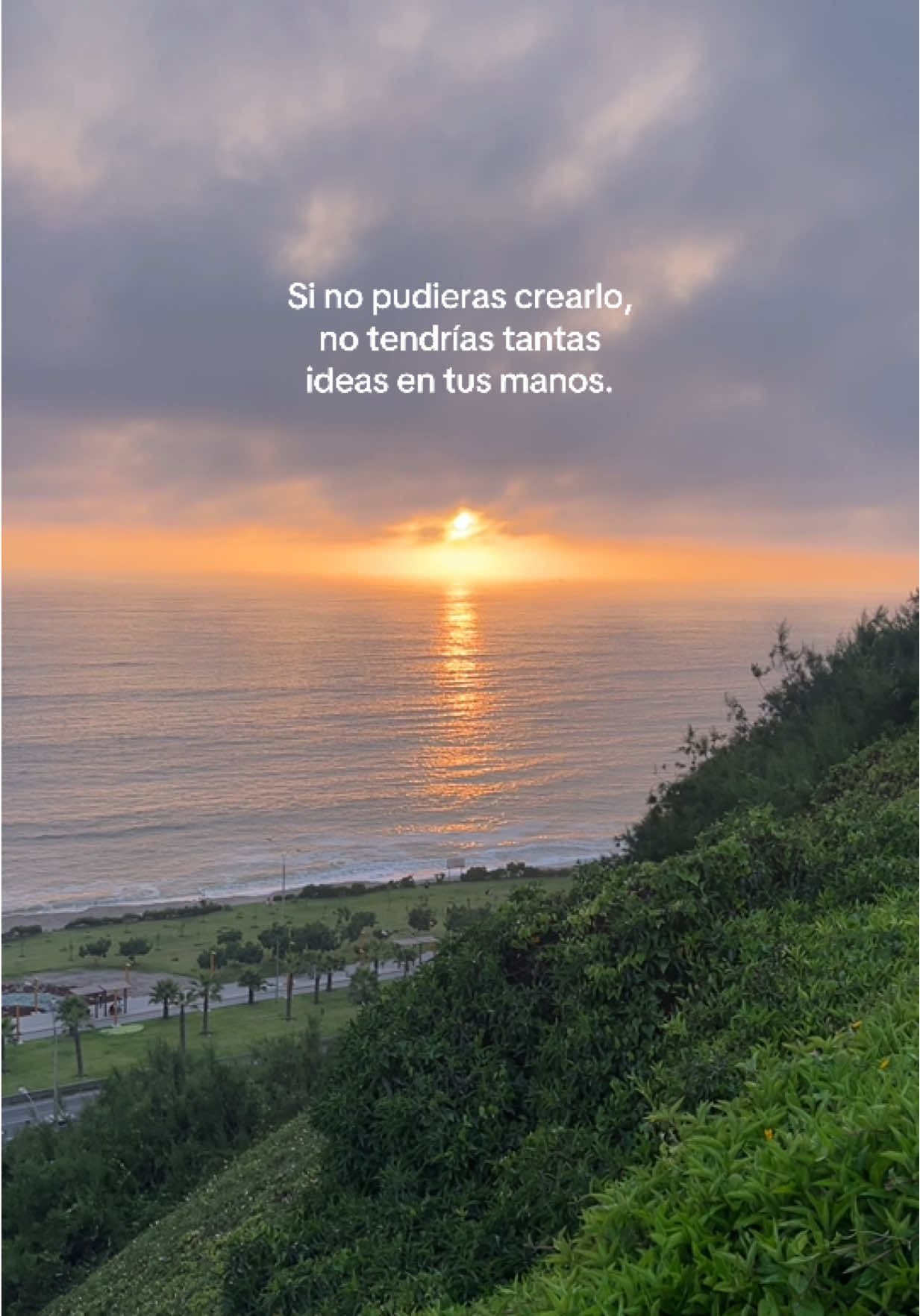 @Ara • Coach de Creatividad