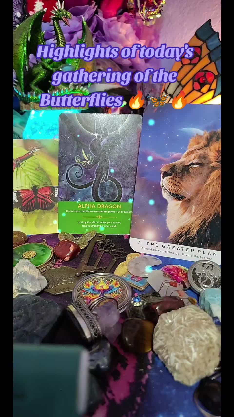 @Butterfly Sanctuary 333