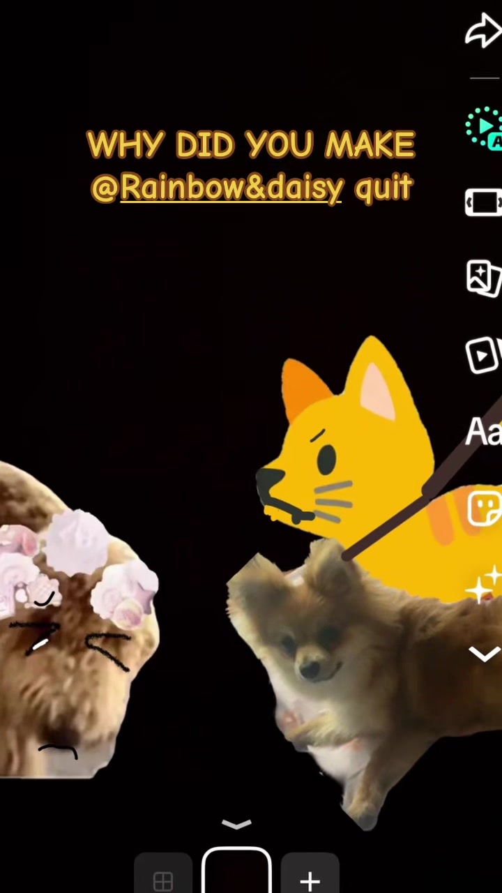 @Cici cool cat