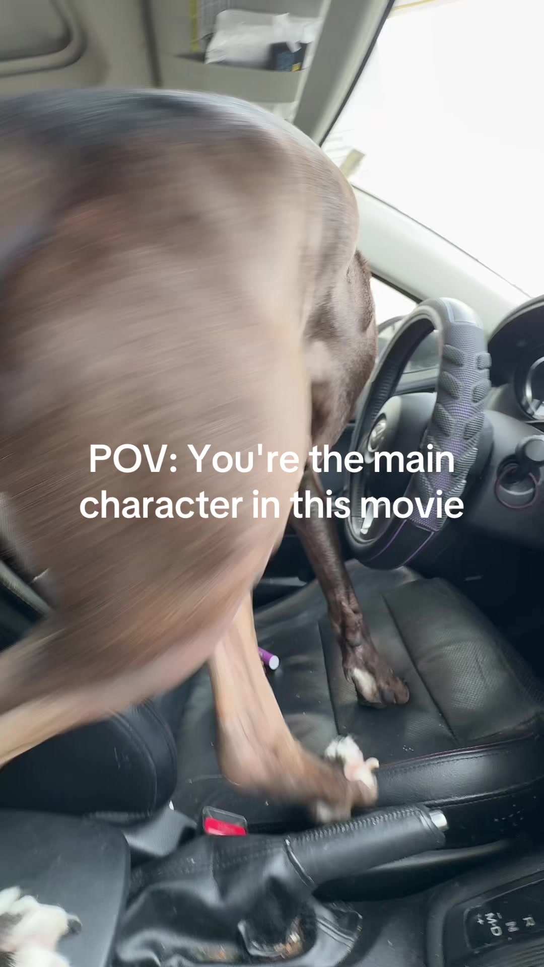 @Cc