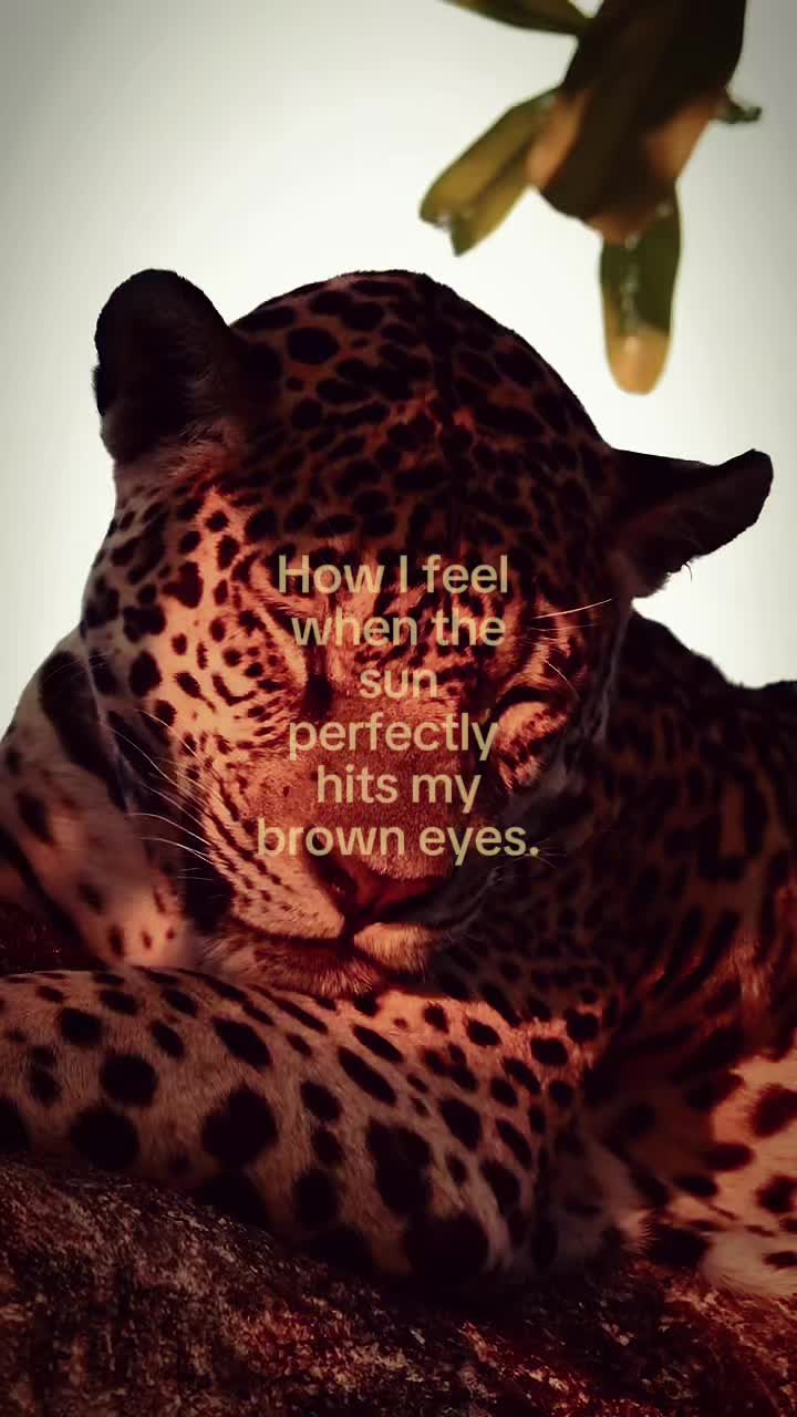 @justagirlnamed_way