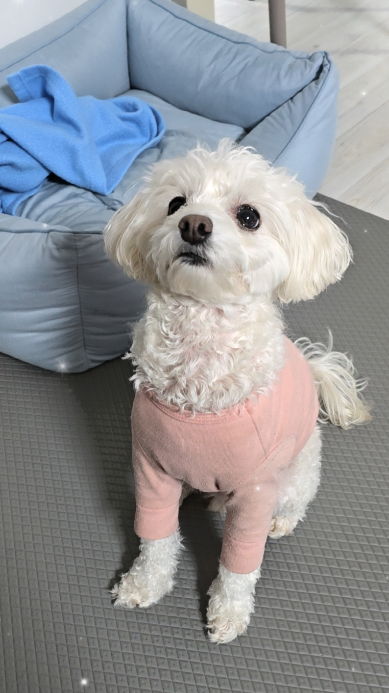 @๋ น์ด๐ผ