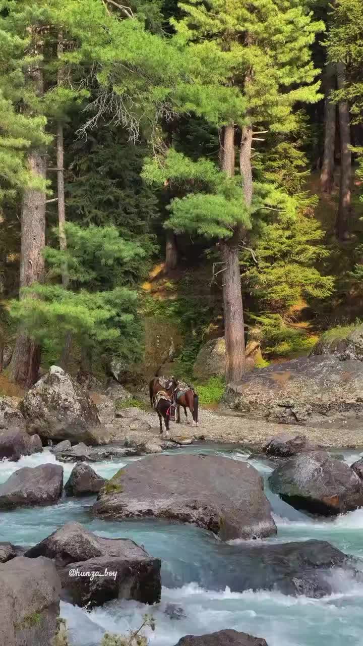 @XIK_ANGREEZ 🇵🇰/🇨🇳