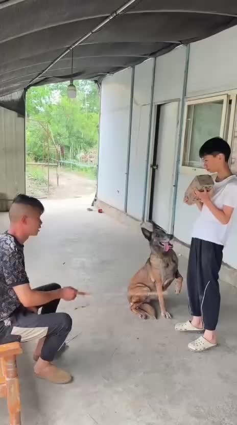 @Funny
