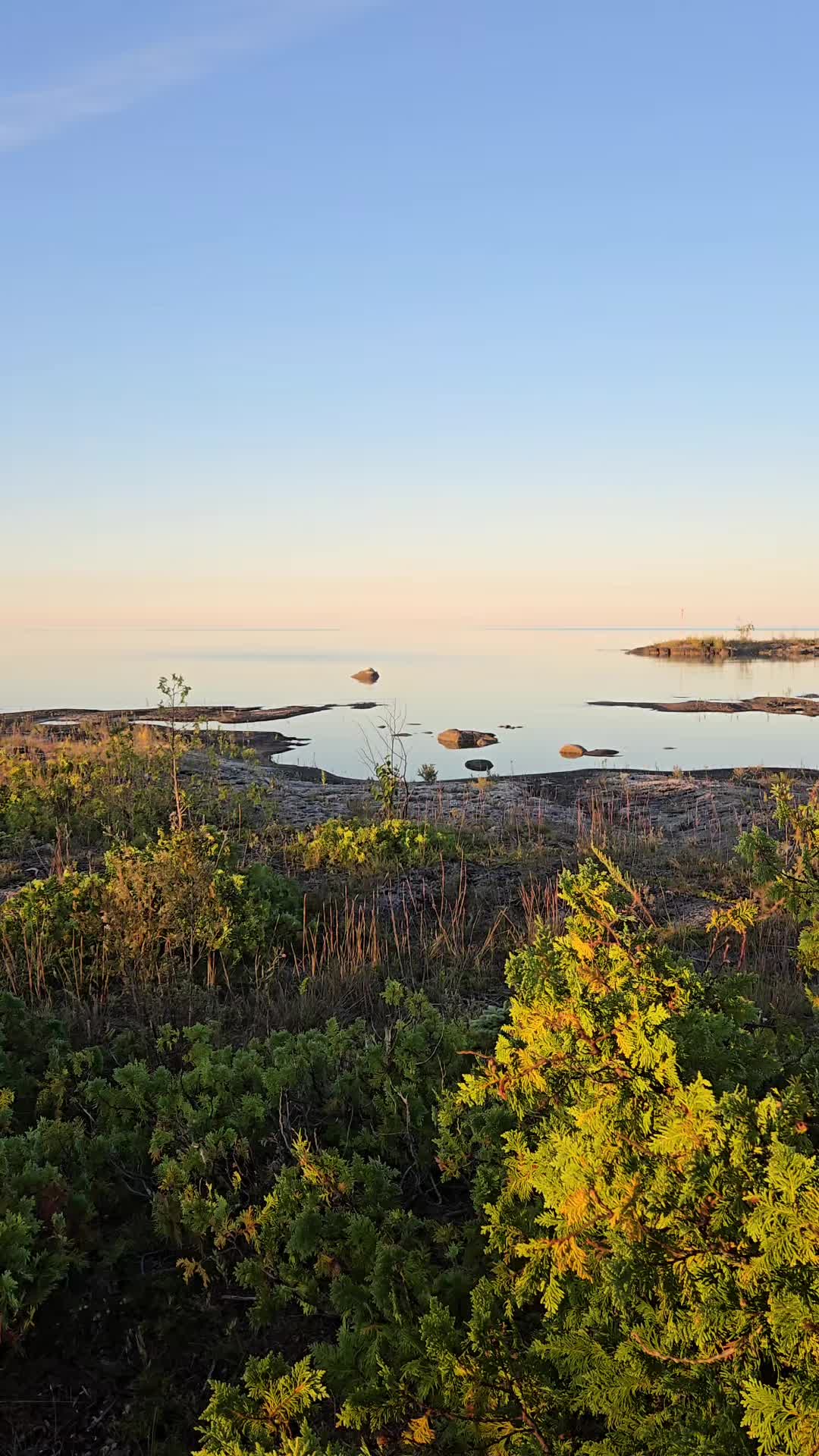 @🇨🇦BELOVE✨️FAE✨️❌️