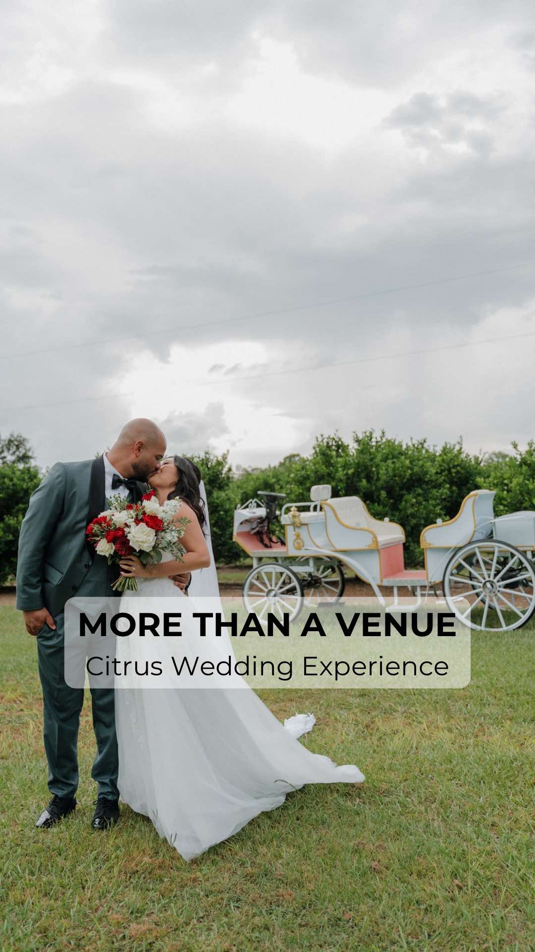 @Ever After Farms Weddings