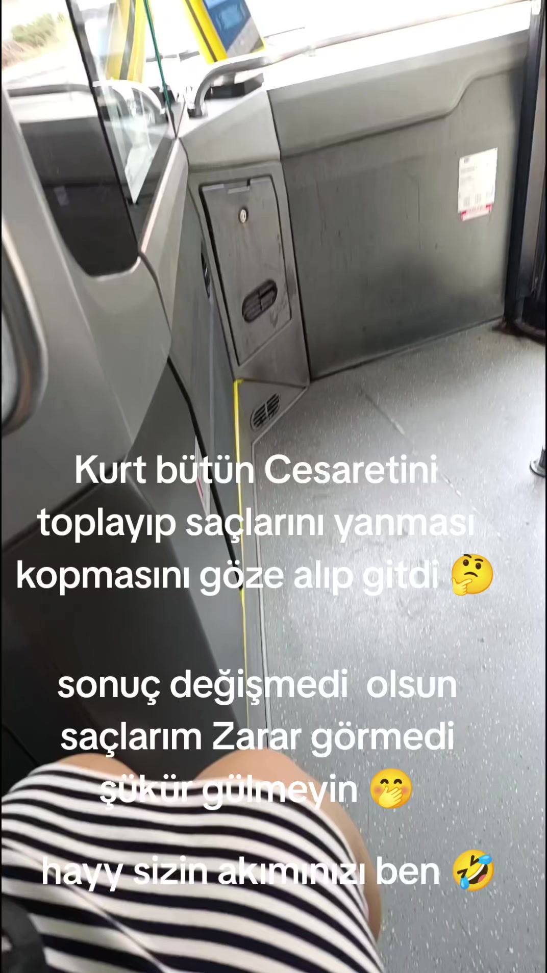 @papatya 🌼