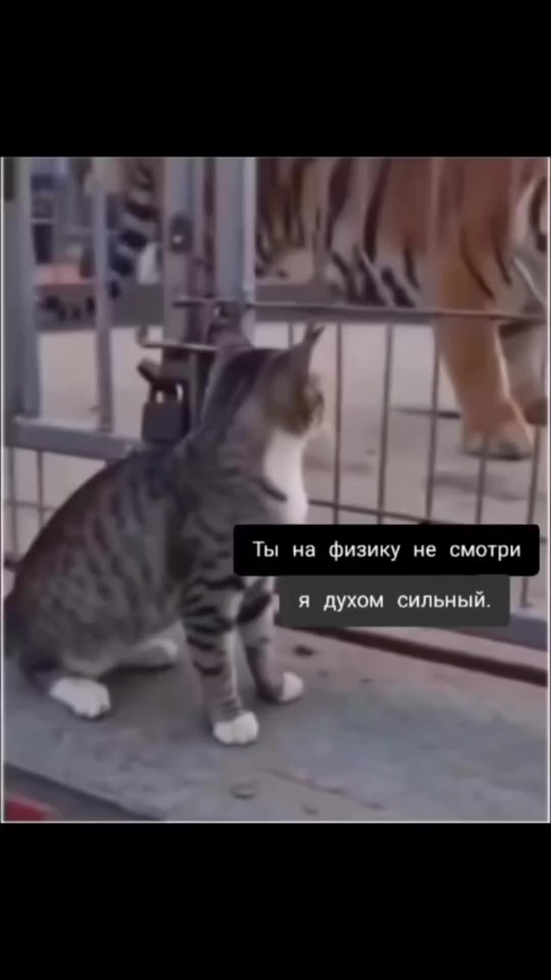 @Ольга Ильчак
