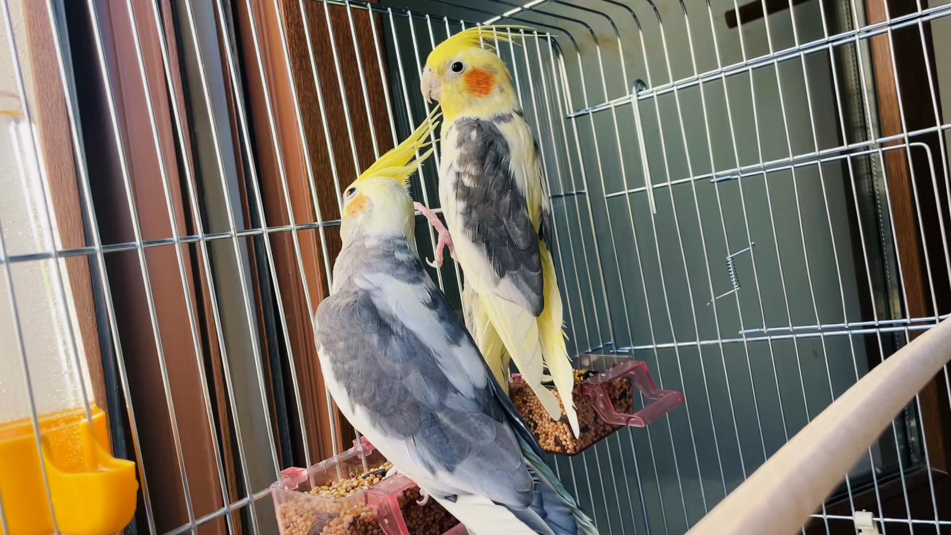 @๐๐ฎ๐๐ตâ ๐๐ฒ๐ฝ๐ฎ๐ป ๐ผ