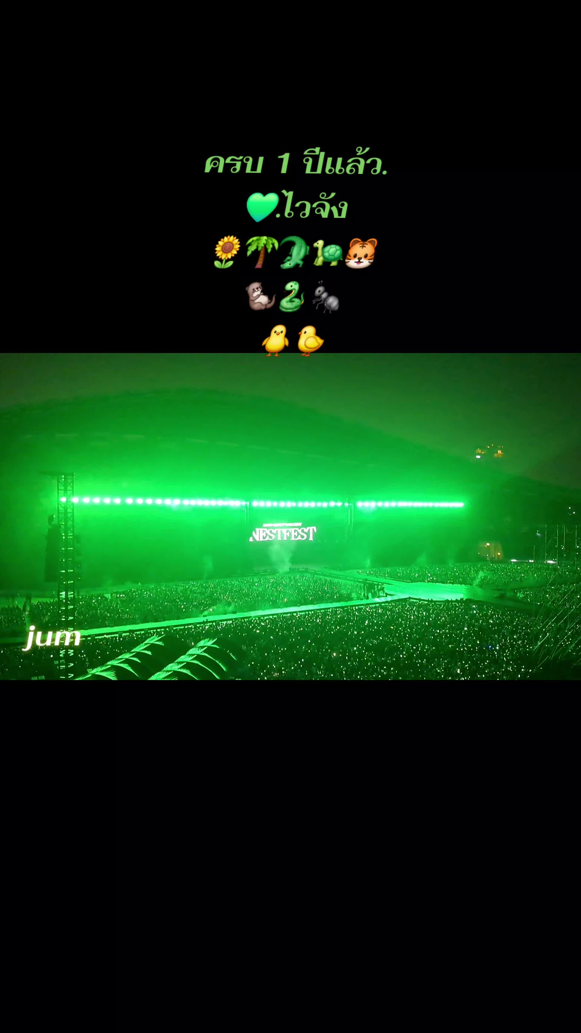 @duangduan_19