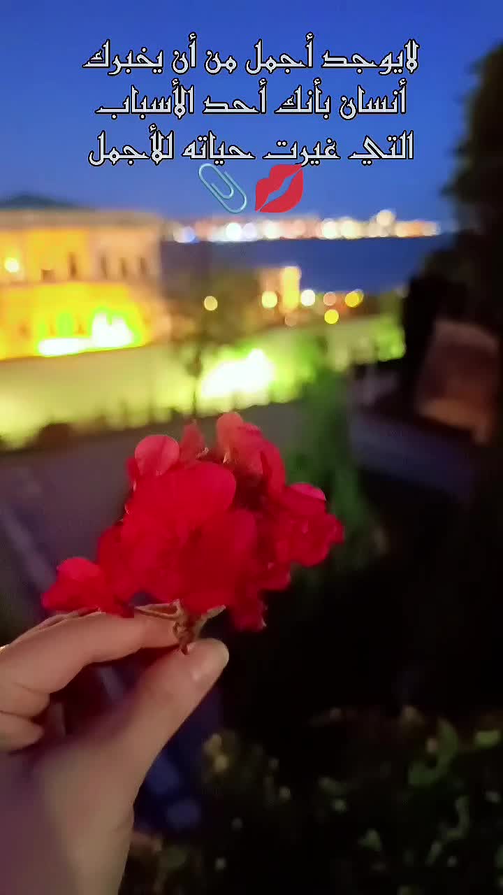 @☆𝑵𝒆𝒔𝒓𝒊𝒏𝒆☆