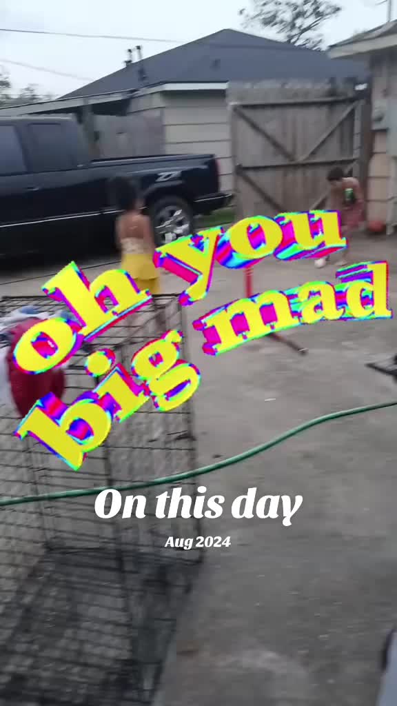 @shellilane