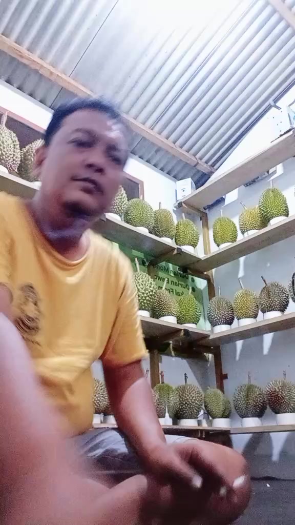 @Store durian simadep