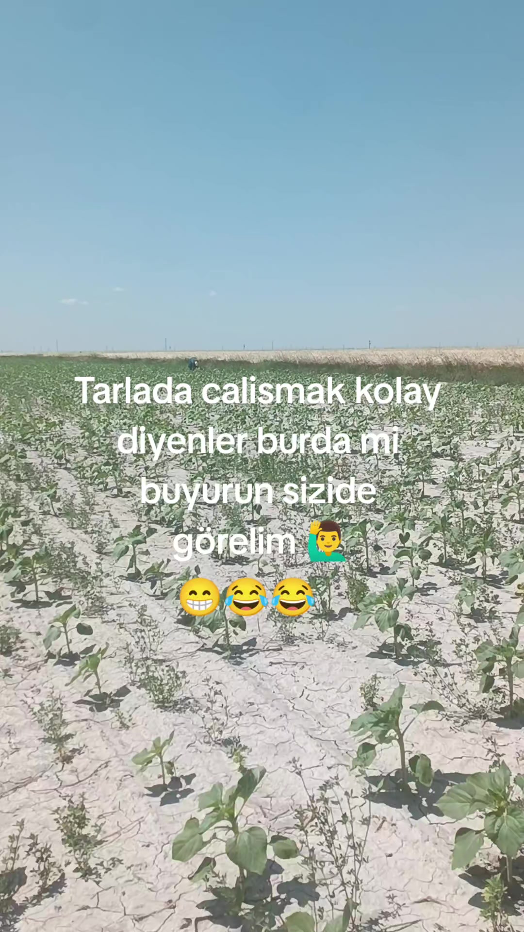 @🦂 GÜNEŞ 🦂