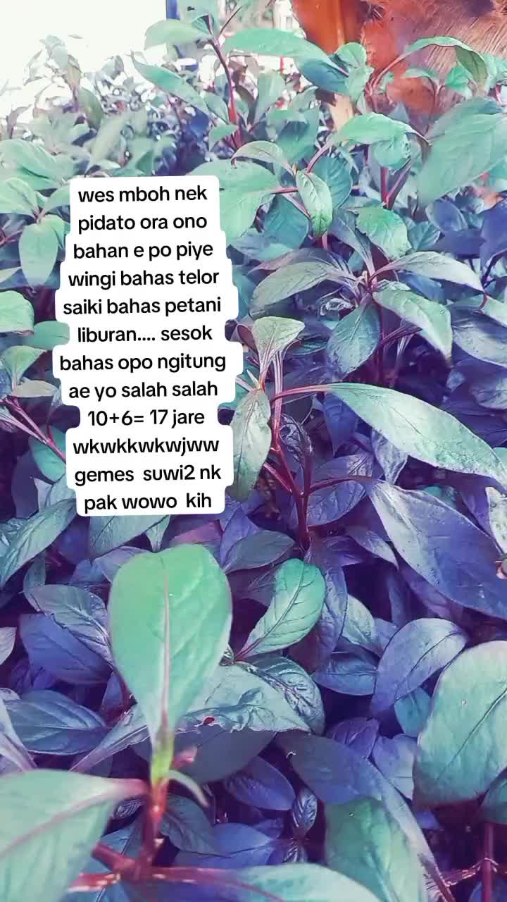 @ZemoxGemoy80