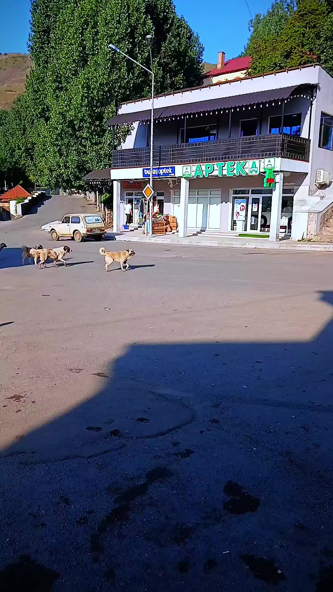 @B&uuml;rhan...
