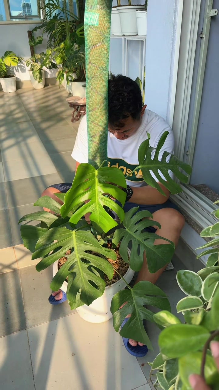 @Plantlife50