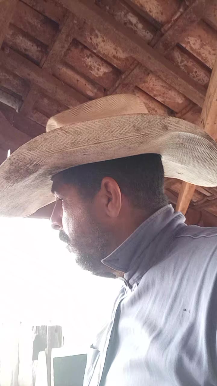 @Alex Danilo Da Silva Danilo