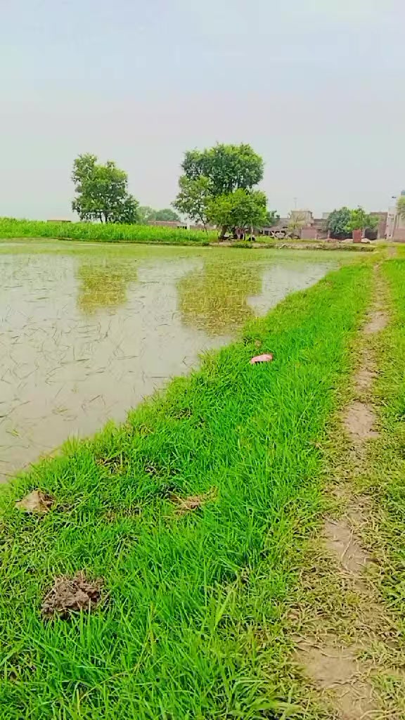 @Imran Ali