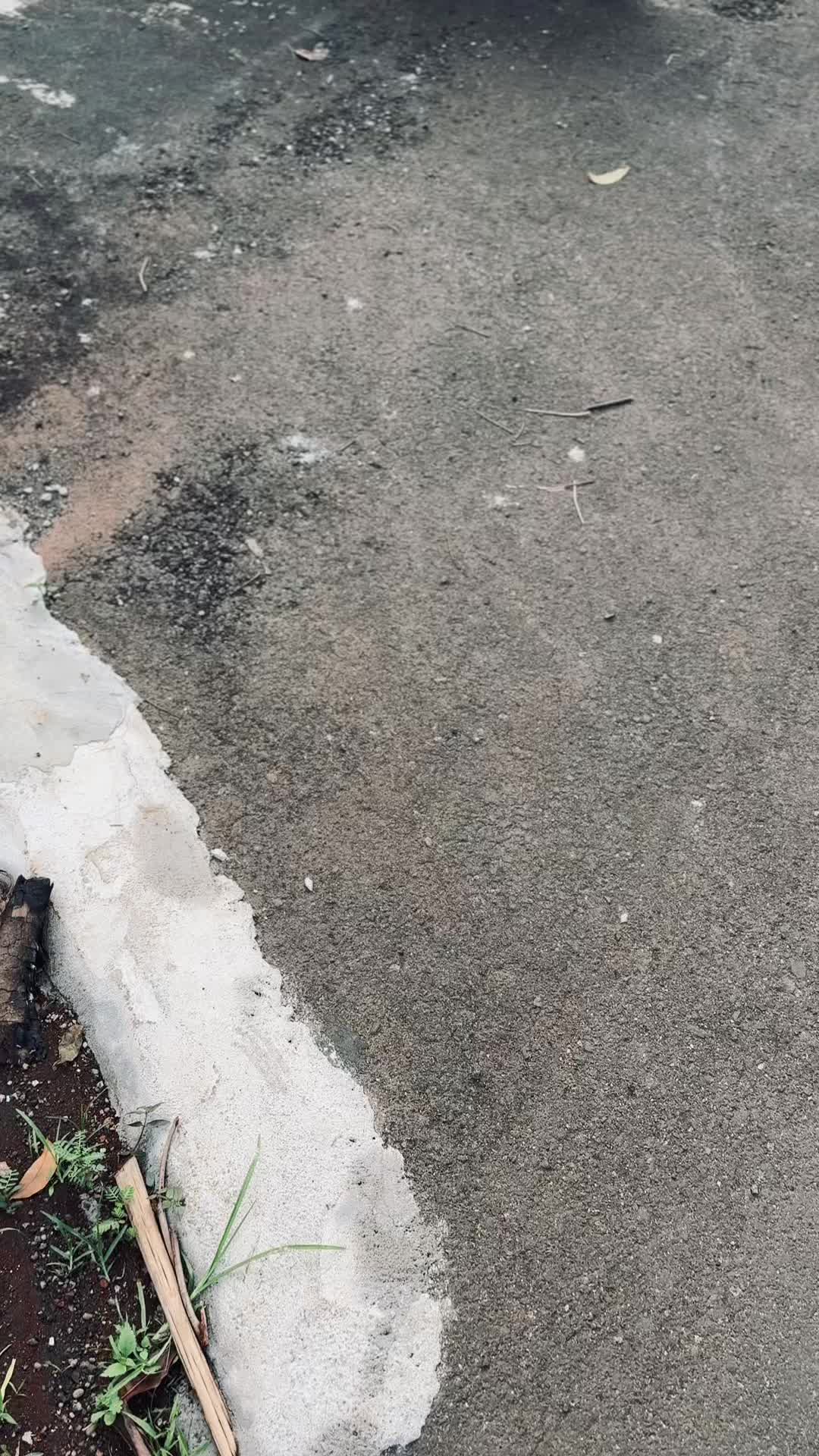 @𝙆𝙮𝙖𝙧𝙖𝙂𝙖𝙧𝙖𝙜𝙚