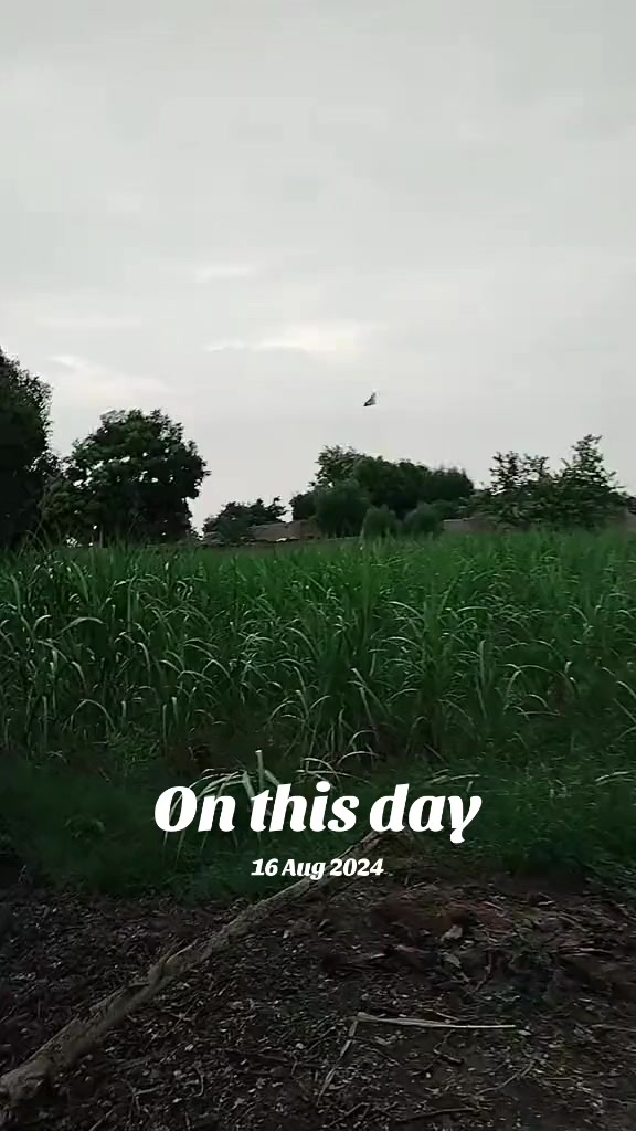 @شاہزیب علی 🥰