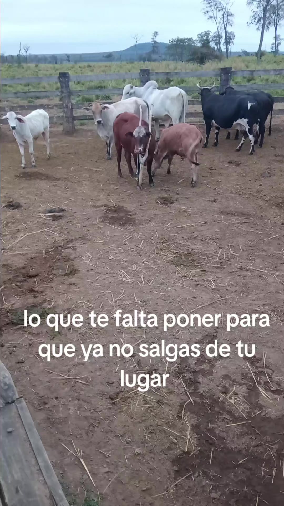 @Maria Fehr