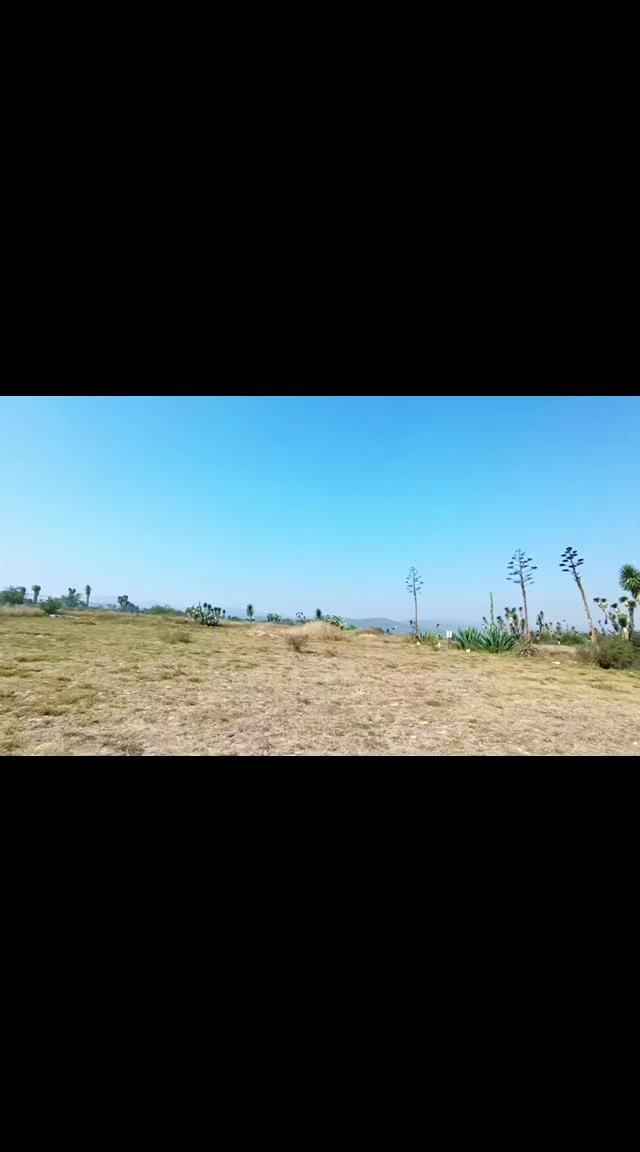 @Pensamientos De Un Tolteca