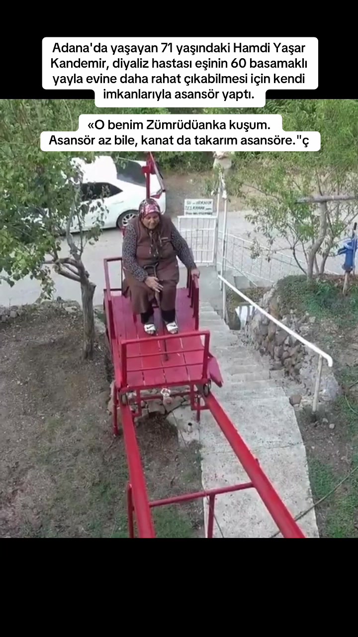 @Bizadanaliyik
