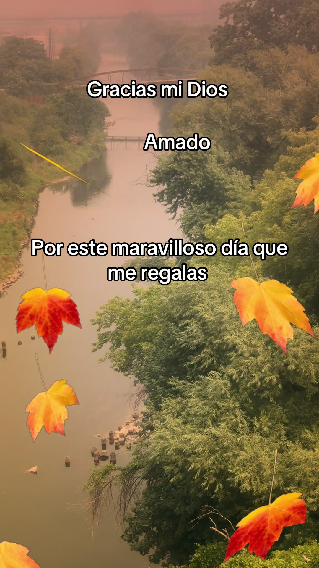 @🦋Mariposita🌻🦋